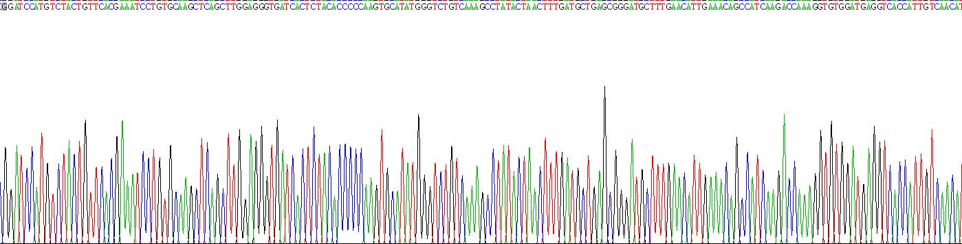 Gene Sequencing (extract)
