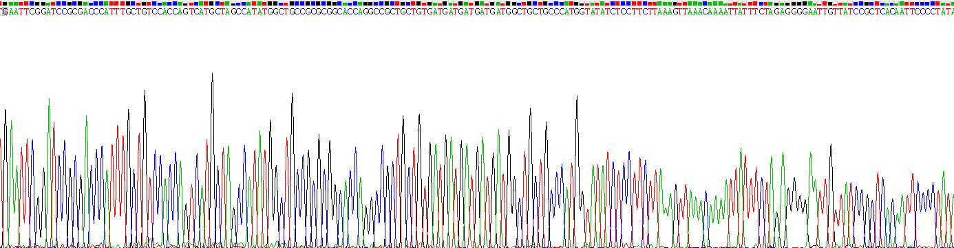 Gene Sequencing (extract)