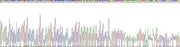 Gene Sequencing (extract)