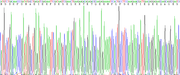 Gene Sequencing (extract)