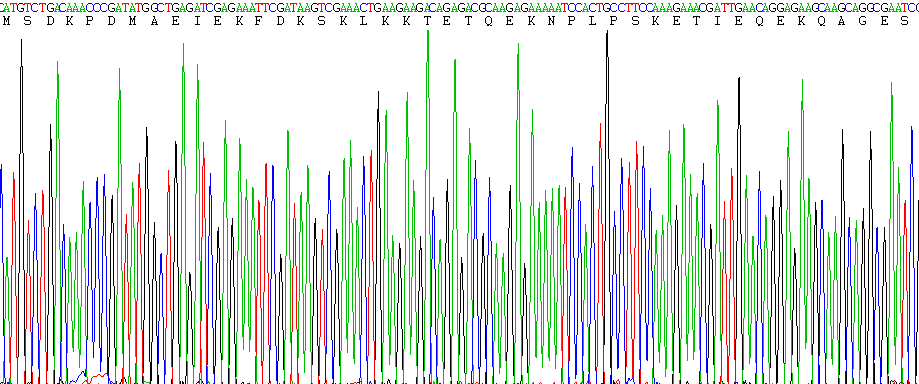 Gene Sequencing (extract)