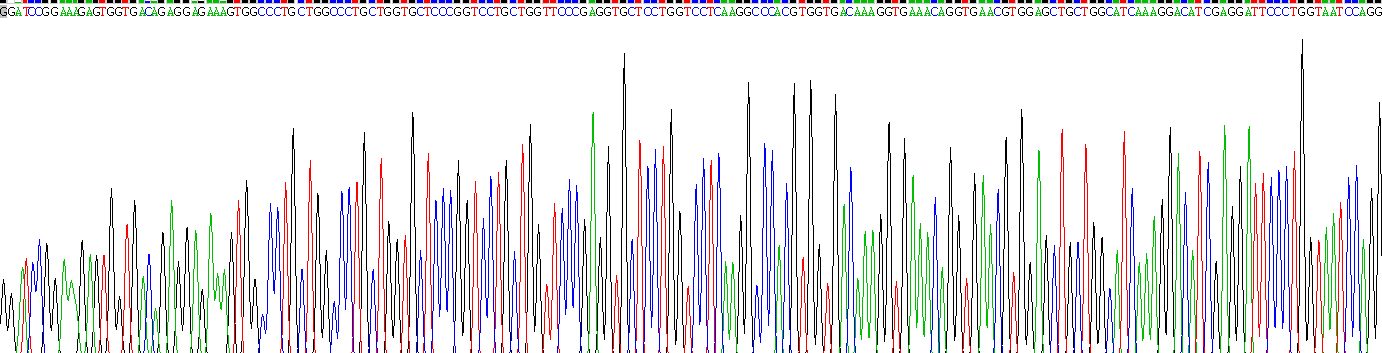 Gene Sequencing (extract)