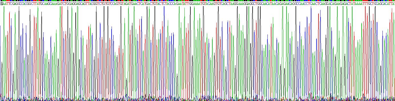Gene Sequencing (extract)