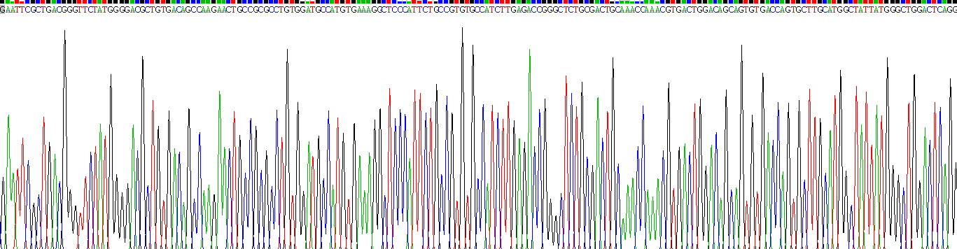 Gene Sequencing (extract)