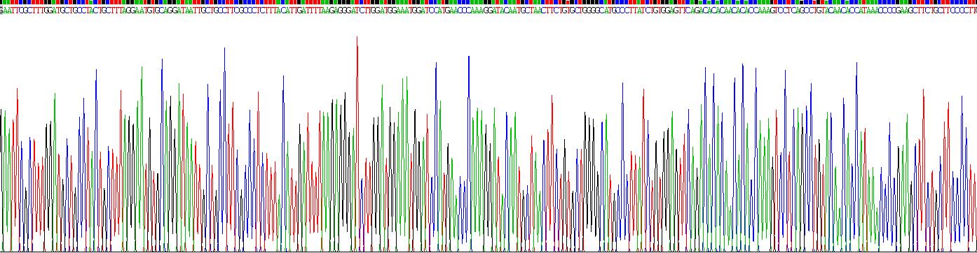 Gene Sequencing (extract)