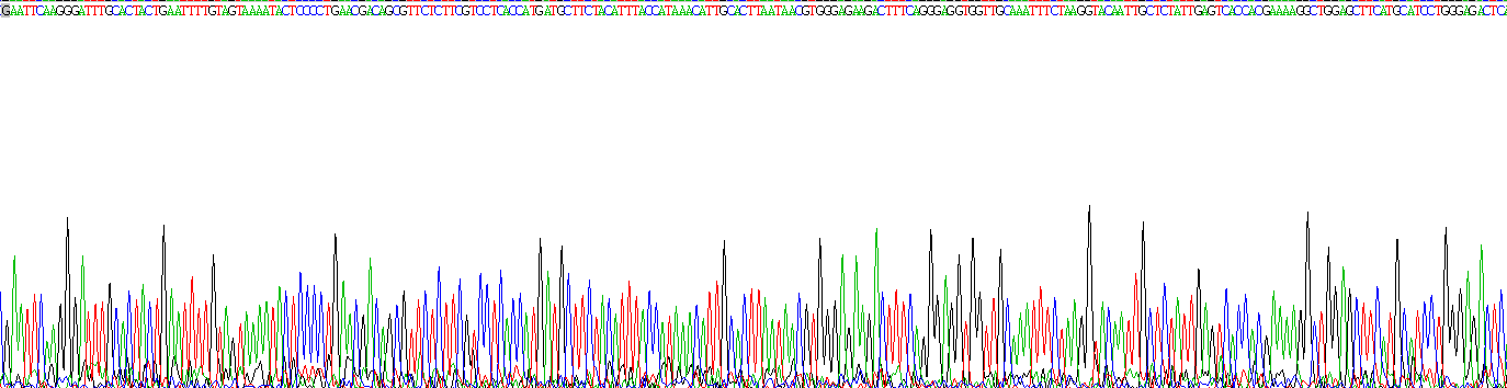 Gene Sequencing (extract)