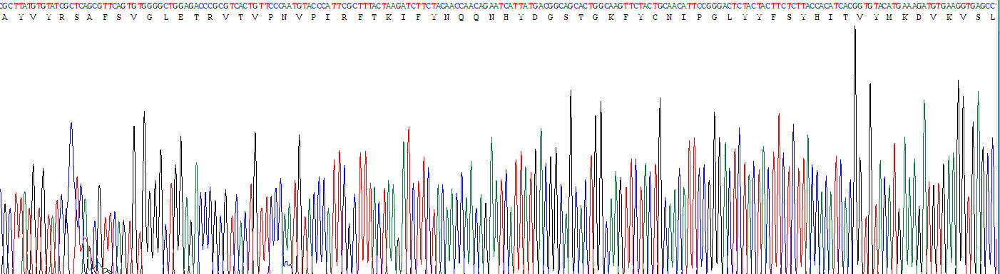 Gene Sequencing (extract)