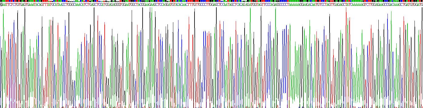 Gene Sequencing (extract)