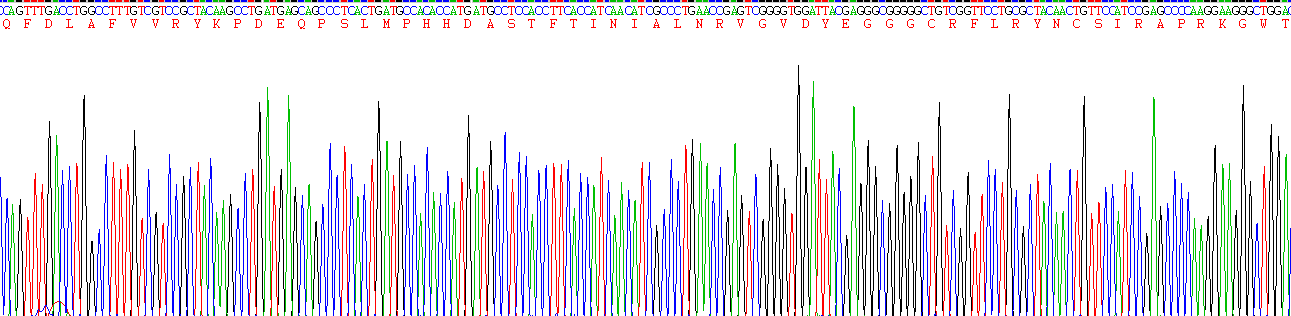 Gene Sequencing (extract)