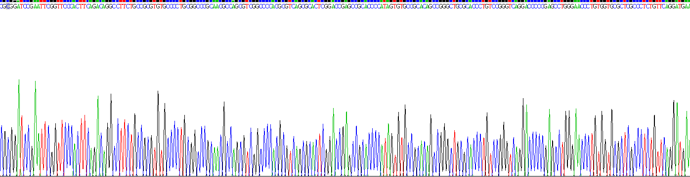 Gene Sequencing (extract)