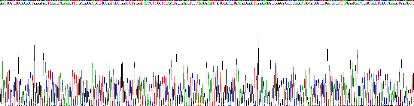 Gene Sequencing (extract)