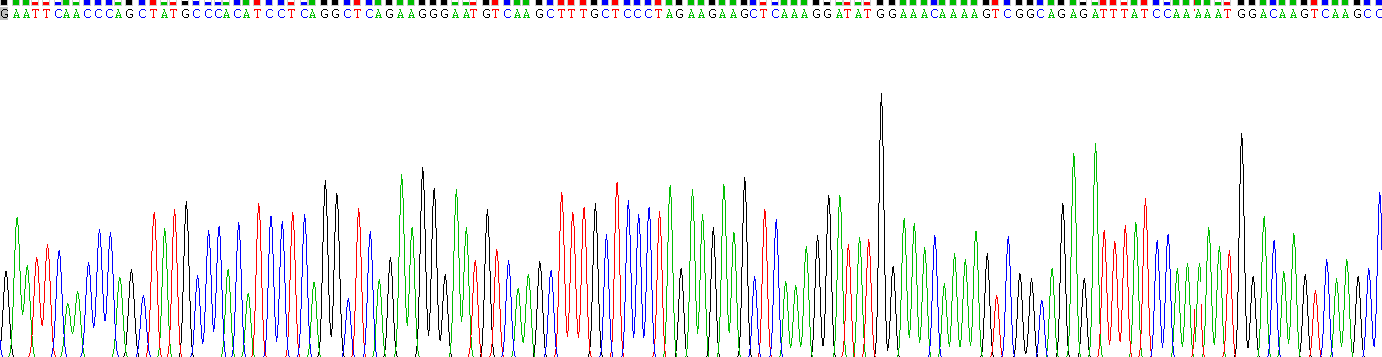 Gene Sequencing (extract)