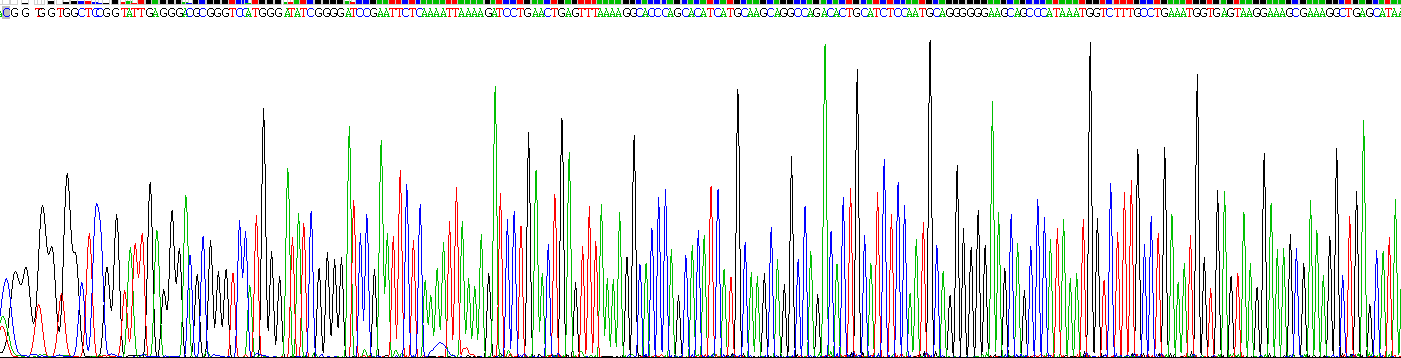 Gene Sequencing (extract)