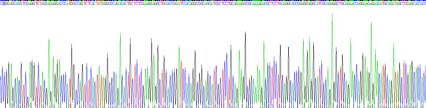 Gene Sequencing (extract)