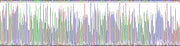 Gene Sequencing (extract)