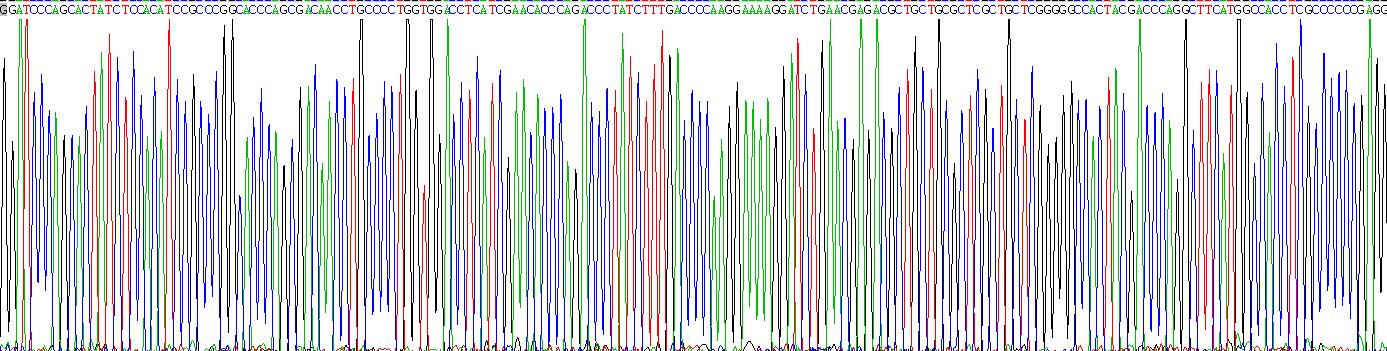 Gene Sequencing (extract)