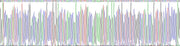 Gene Sequencing (extract)