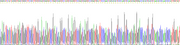 Gene Sequencing (extract)