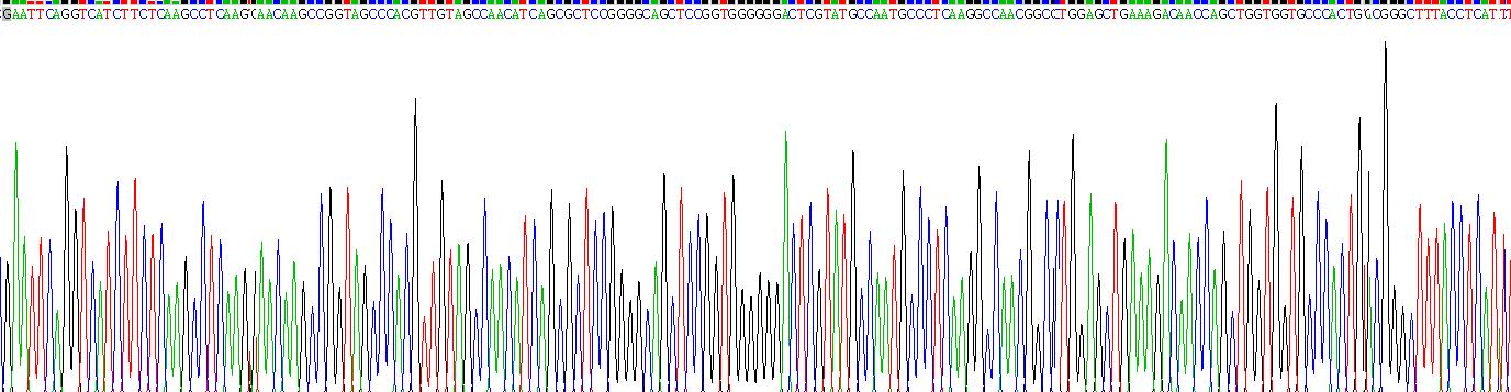 Gene Sequencing (extract)
