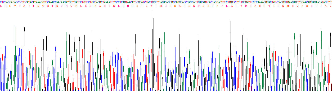 Gene Sequencing (extract)