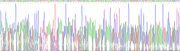 Gene Sequencing (extract)