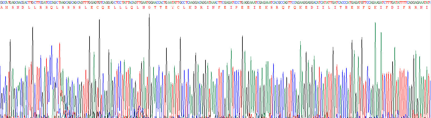 Gene Sequencing (extract)