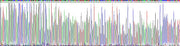 Gene Sequencing (extract)