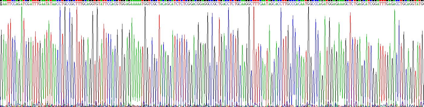 Gene Sequencing (extract)