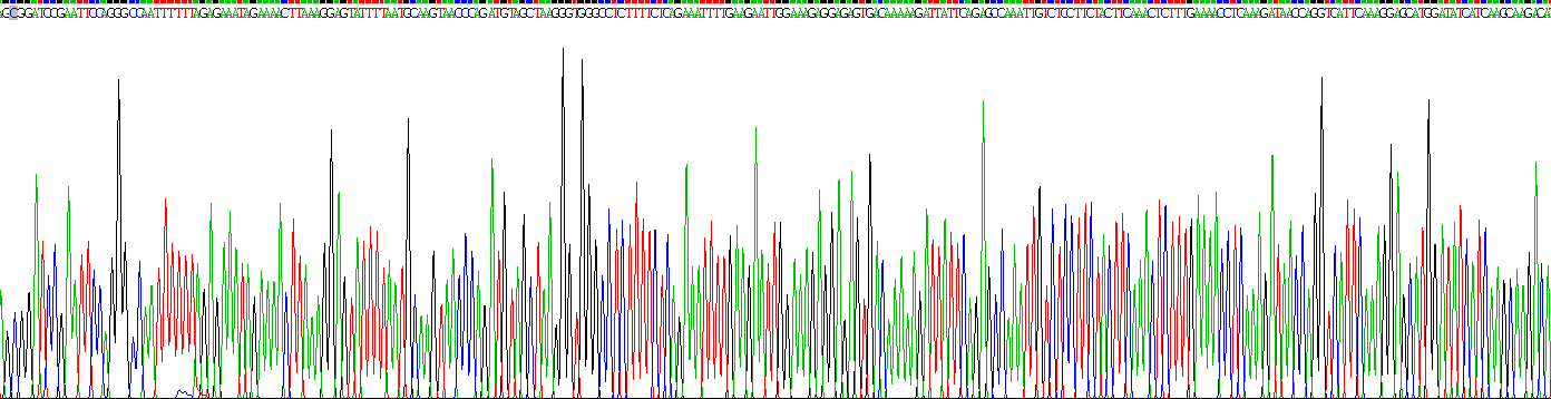 Gene Sequencing (extract)