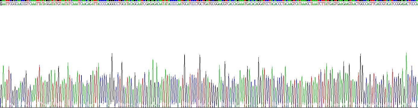 Gene Sequencing (extract)
