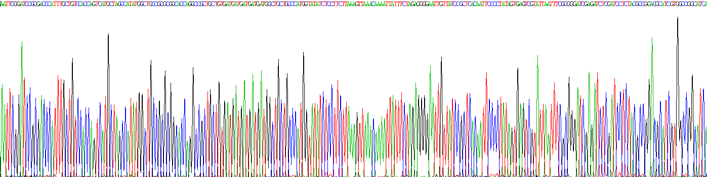 Gene Sequencing (extract)