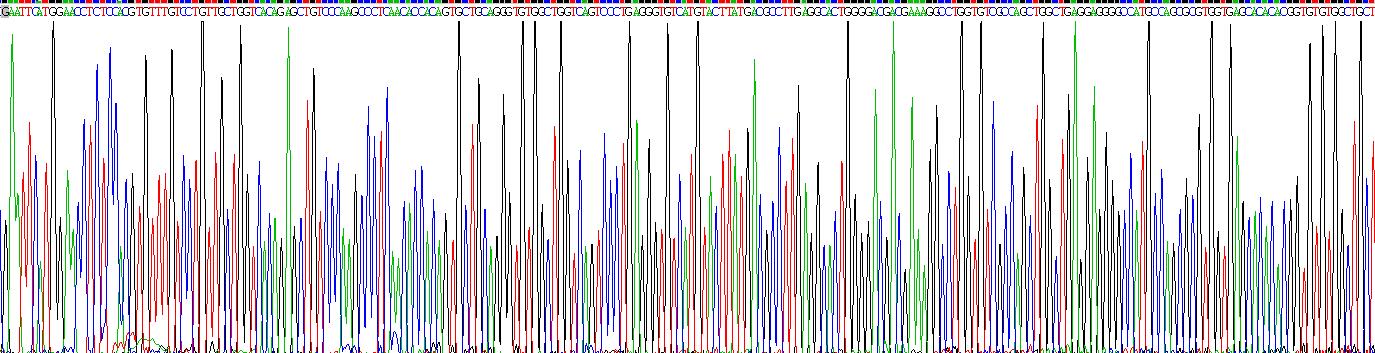 Gene Sequencing (extract)
