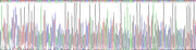 Gene Sequencing (extract)