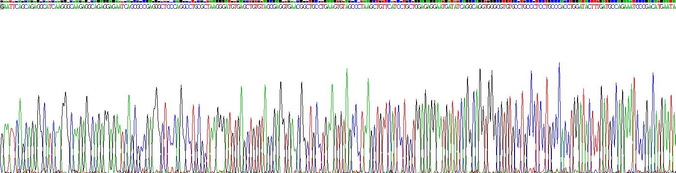 Gene Sequencing (extract)
