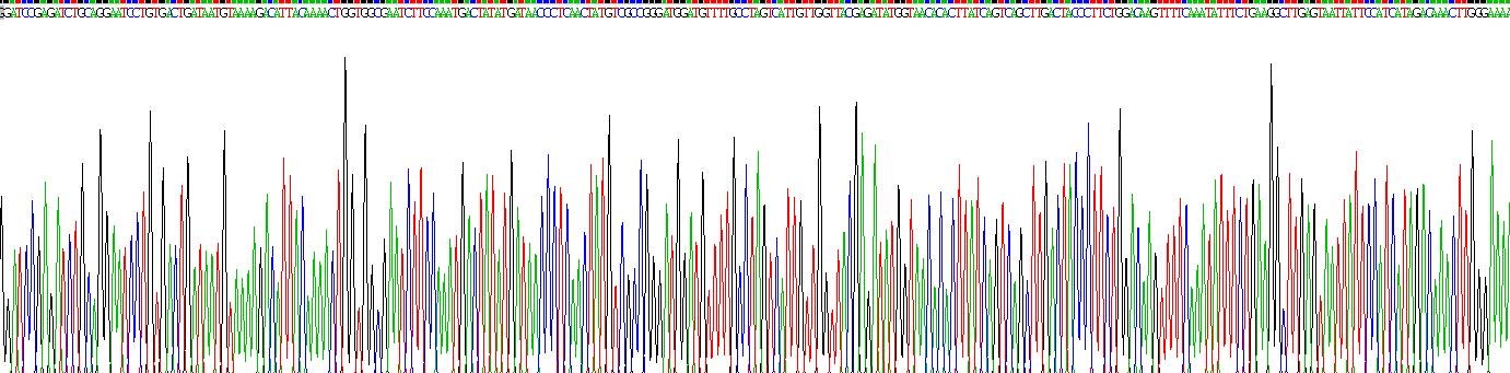 Gene Sequencing (extract)