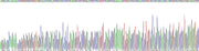Gene Sequencing (extract)