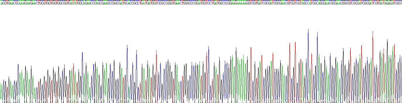 Gene Sequencing (extract)