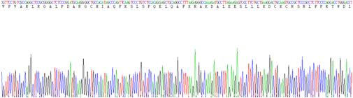 Gene Sequencing (extract)