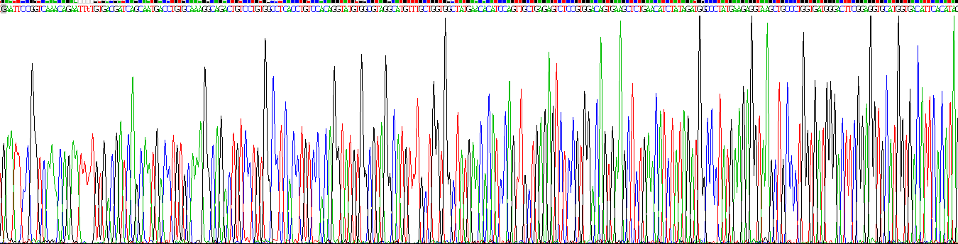 Gene Sequencing (extract)