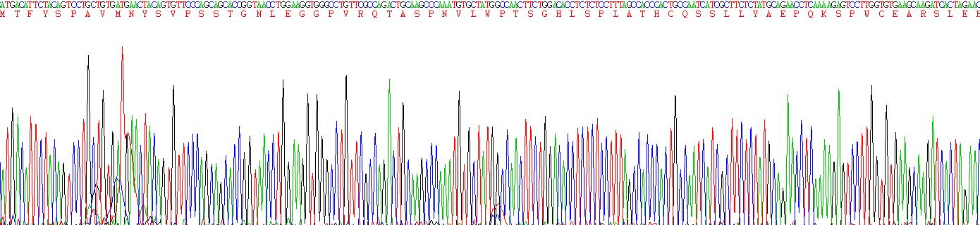 Gene Sequencing (extract)