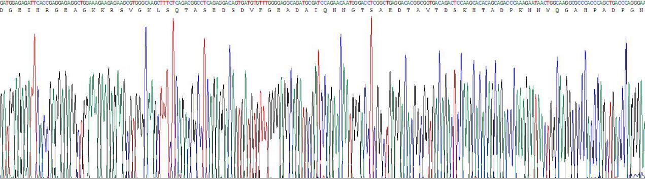 Gene Sequencing (extract)