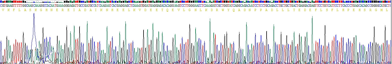 Gene Sequencing (extract)