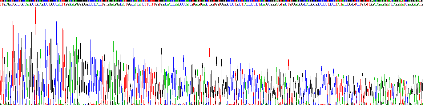 Gene Sequencing (extract)