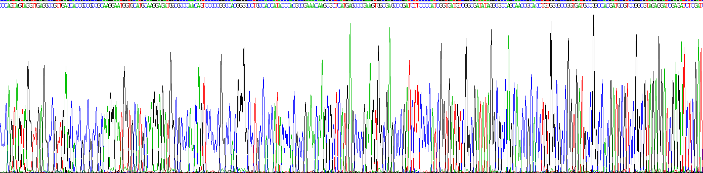 Gene Sequencing (extract)