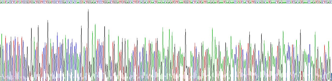 Gene Sequencing (extract)