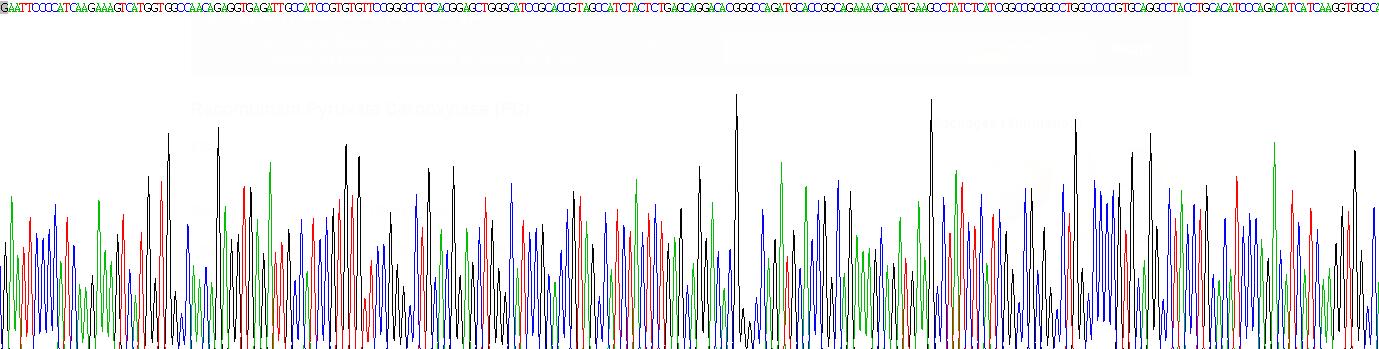 Gene Sequencing (extract)