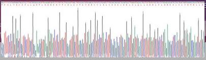 Gene Sequencing (extract)