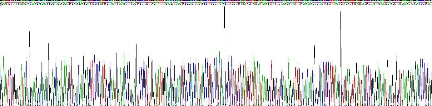 Gene Sequencing (extract)