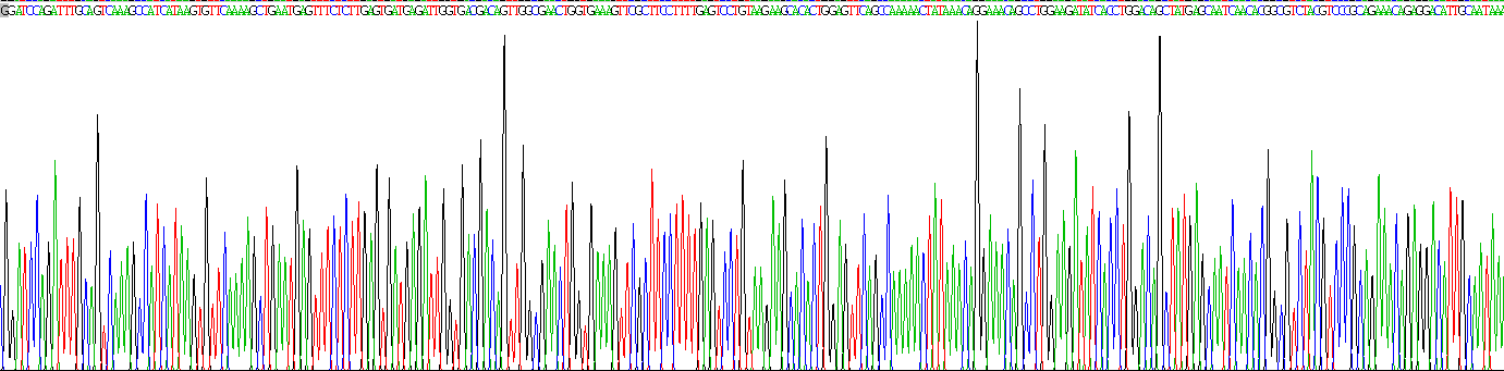Gene Sequencing (extract)