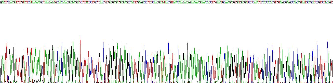 Gene Sequencing (extract)